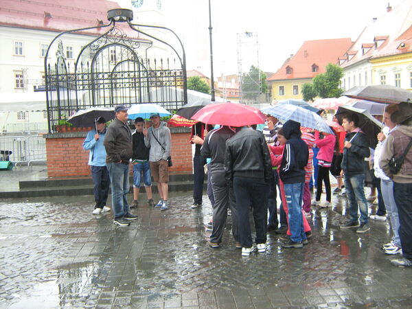 Oltenia 2012